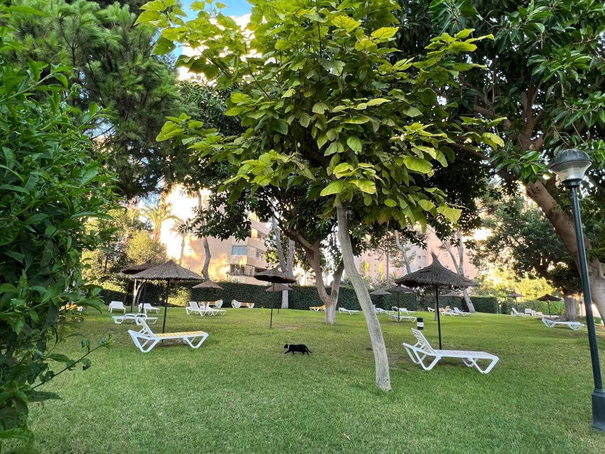 Modern 3 Bedroom Situated In Luxury Beachfront Gated Community Apartment *